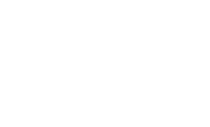 No Camelta